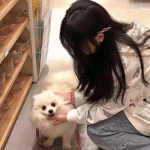最终竞速手游下载